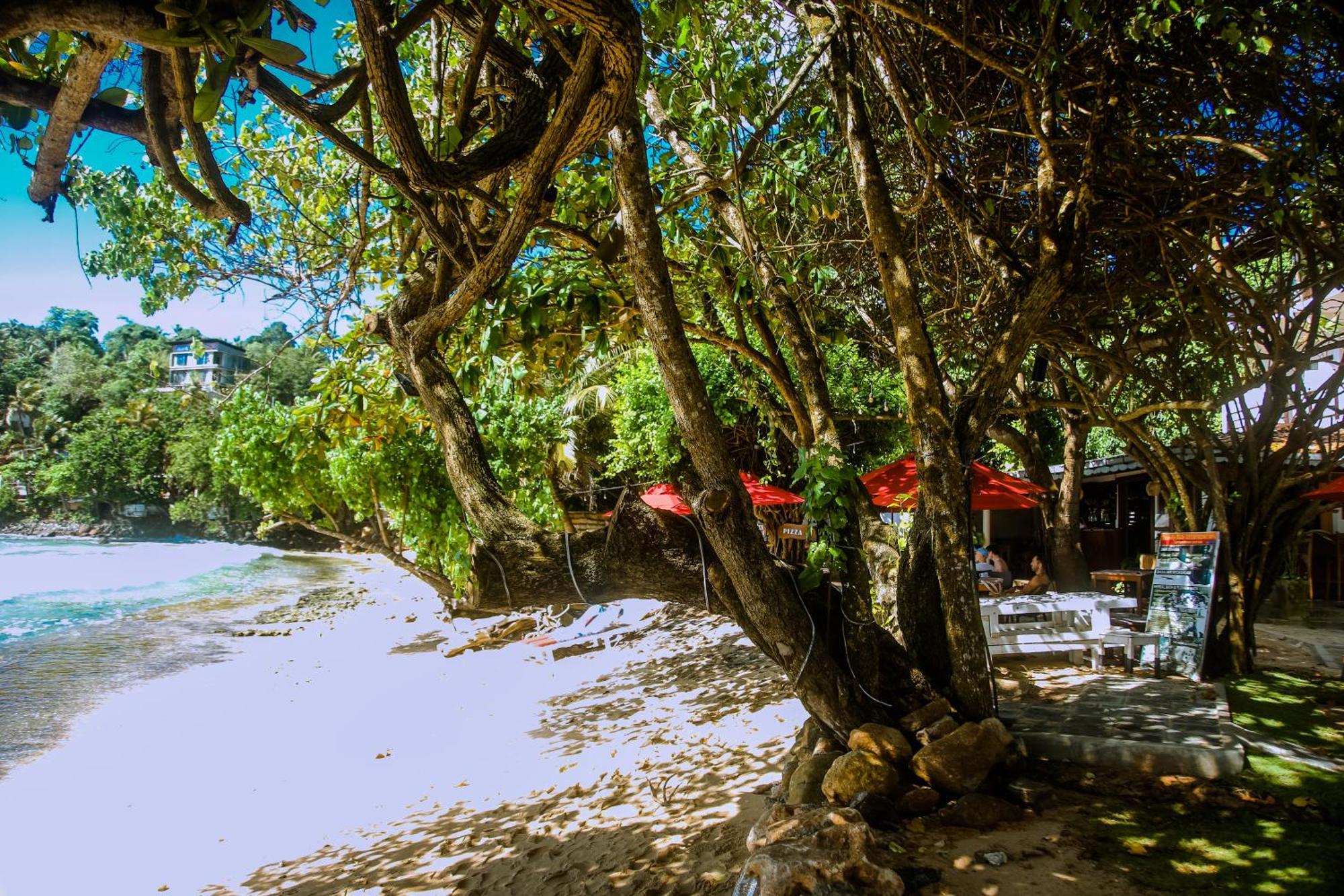 Hotel Surf Sea Breeze à Mirissa Extérieur photo