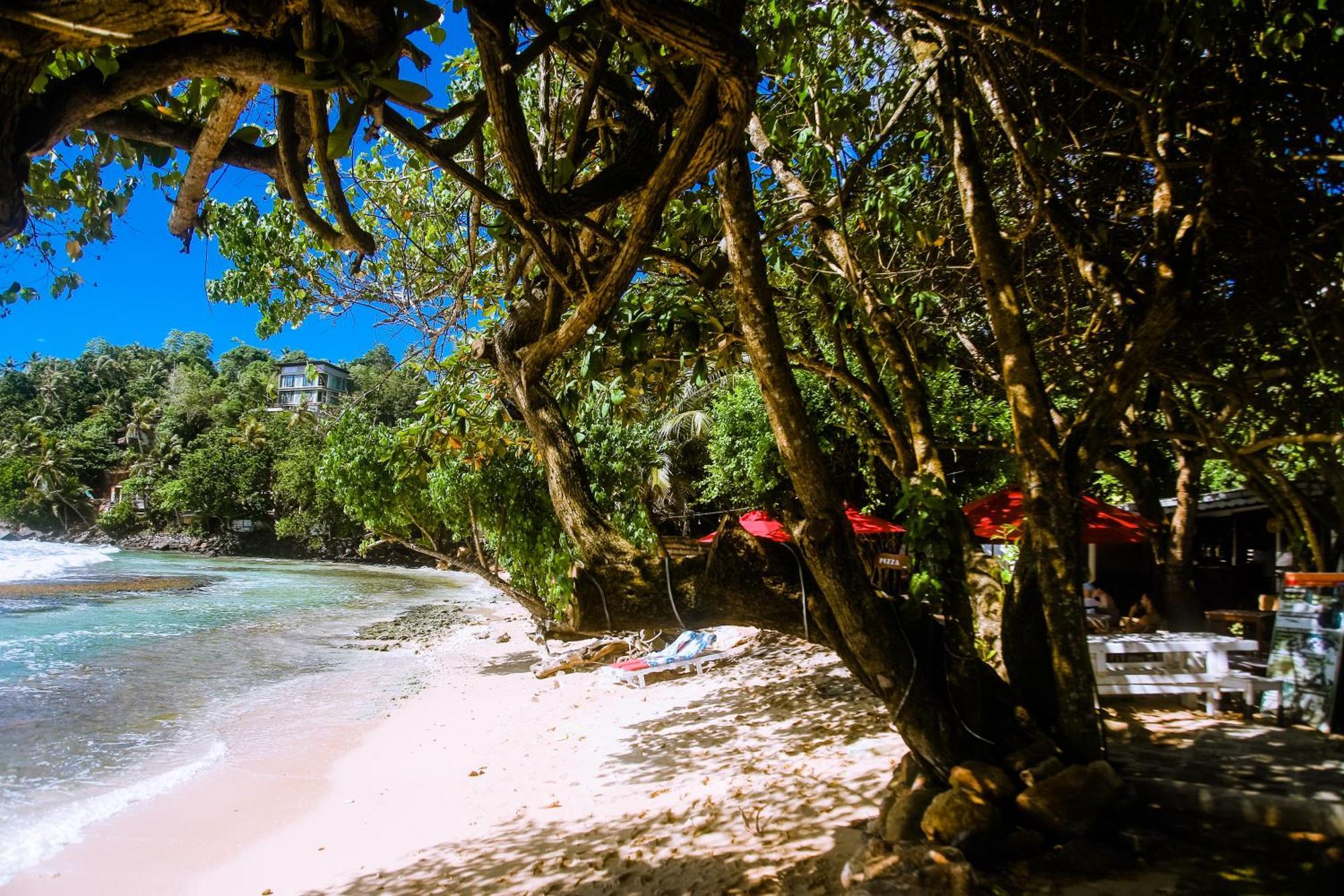 Hotel Surf Sea Breeze à Mirissa Extérieur photo