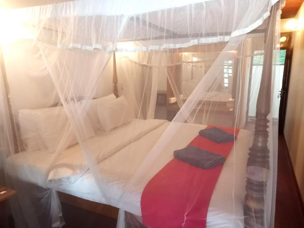 Hotel Surf Sea Breeze à Mirissa Extérieur photo