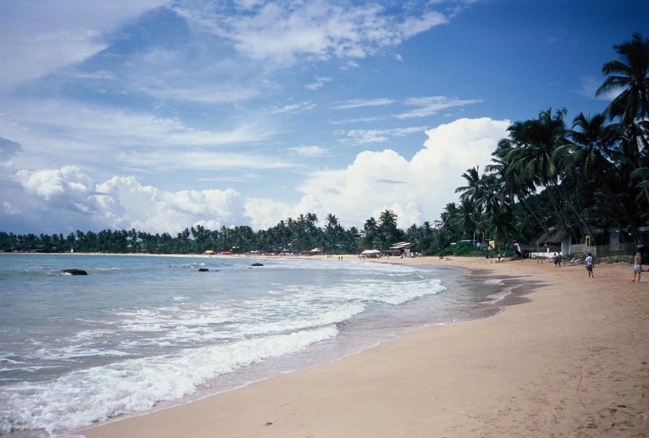 Hotel Surf Sea Breeze à Mirissa Extérieur photo